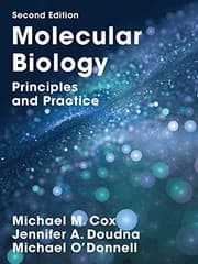 Tapa de Molecular Biology