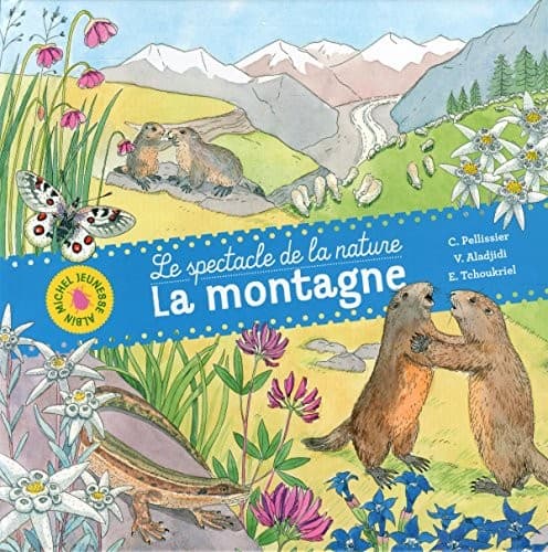 Tapa de La Montagne