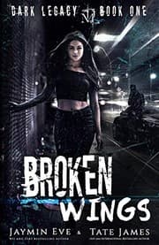 Tapa de Broken Wings