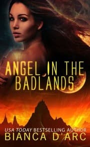 Tapa de Angel in the Badlands