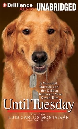 Tapa de Until Tuesday