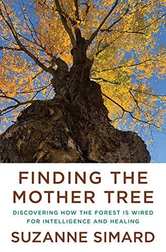 Tapa de Finding the Mother Tree