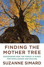 Tapa de Finding the Mother Tree