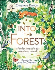 Tapa de Into the Forest