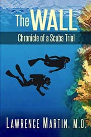 Tapa de The Wall