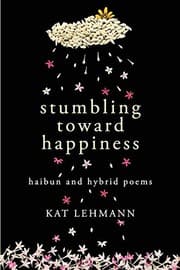 Tapa de Stumbling Toward Happiness