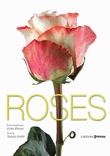 Tapa de Roses