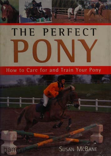Tapa de The Perfect Pony