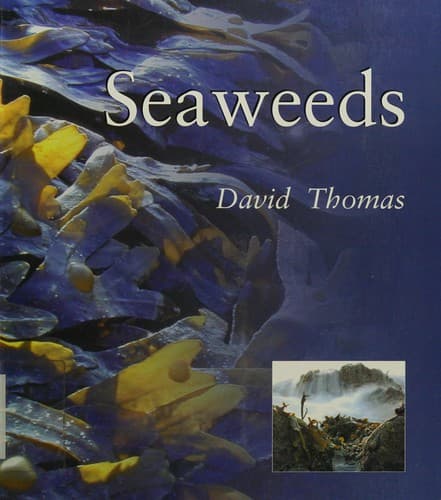 Tapa de Seaweeds