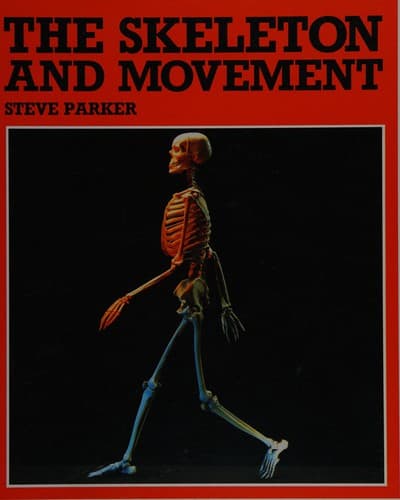 Tapa de The skeleton and movement