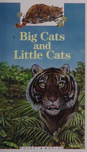 Tapa de Big cats and little cats