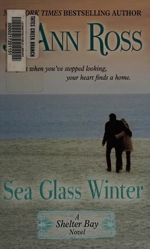 Tapa de Sea glass winter