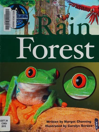 Tapa de Rain forest