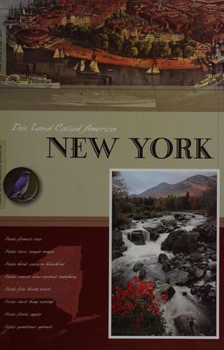 Tapa de New York