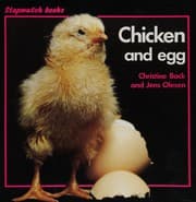 Tapa de Chicken and Egg