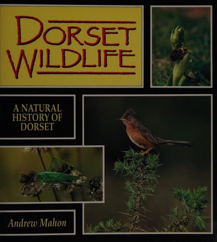 Tapa de Dorset Wild Life
