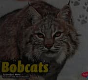 Tapa de Bobcats