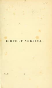 Tapa de The Birds of America Vol. II