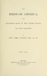 Tapa de The Birds of America Vol. VIII