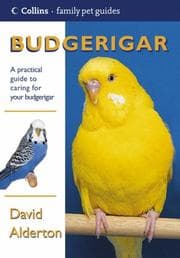 Tapa de Budgerigar