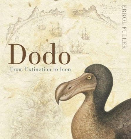 Tapa de Dodo