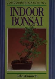 Tapa de Indoor bonsai