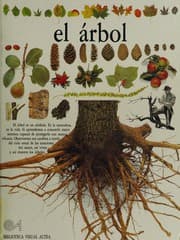 Tapa de El Arbol/Trees