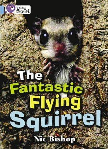 Tapa de The Fantastic Flying Squirrel