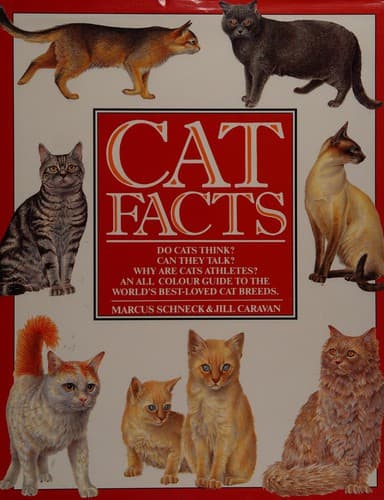 Tapa de Cat facts