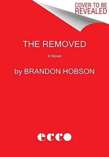 Tapa de The Removed