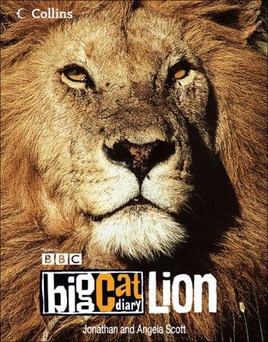 Tapa de Lion
