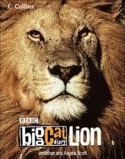 Tapa de Lion