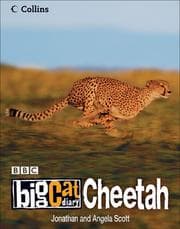 Tapa de Cheetah