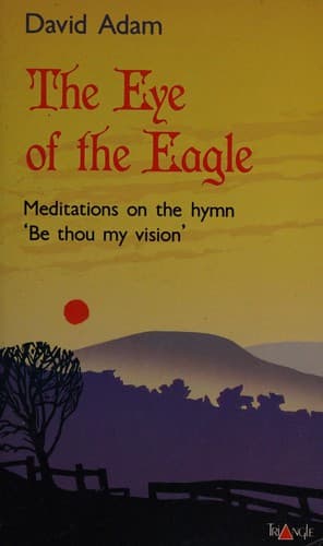 Tapa de The eye of the eagle