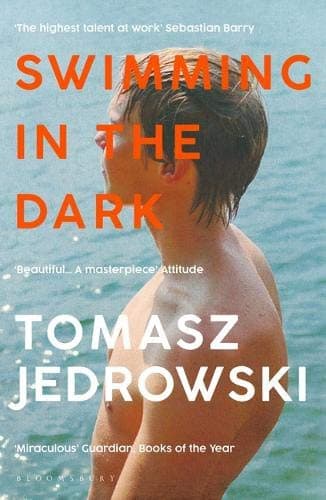 Tapa de Swimming in the Dark