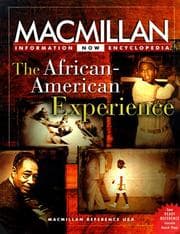 Tapa de The African-American experience