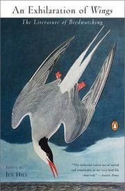 Tapa de An Exhilaration of Wings