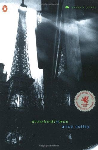 Tapa de Disobedience