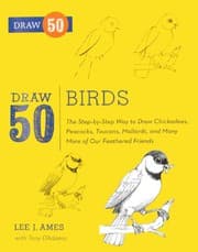 Tapa de Draw 50 Birds