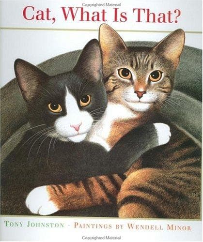 Tapa de Cat, what is that?
