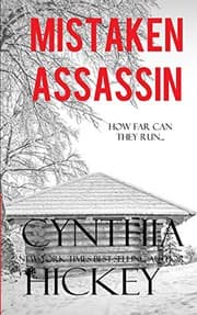 Tapa de Mistaken Assassin