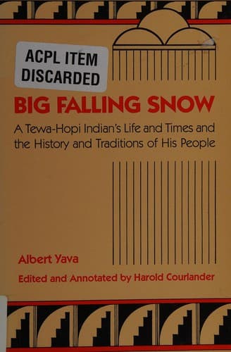 Tapa de Big Falling Snow