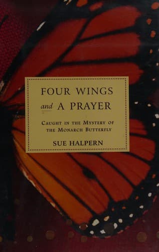 Tapa de Four wings and a prayer