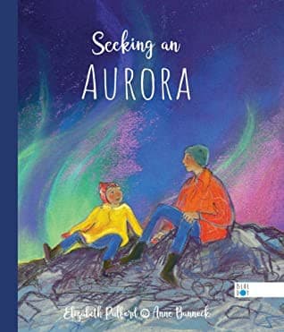 Tapa de Seeking an Aurora