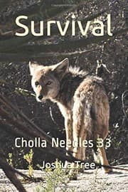 Tapa de Cholla Needles 33