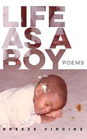 Tapa de Life As A Boy