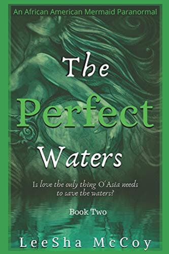 Tapa de The Perfect Waters