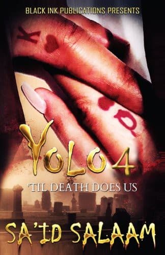 Tapa de Yolo 4