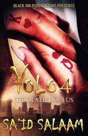 Tapa de Yolo 4