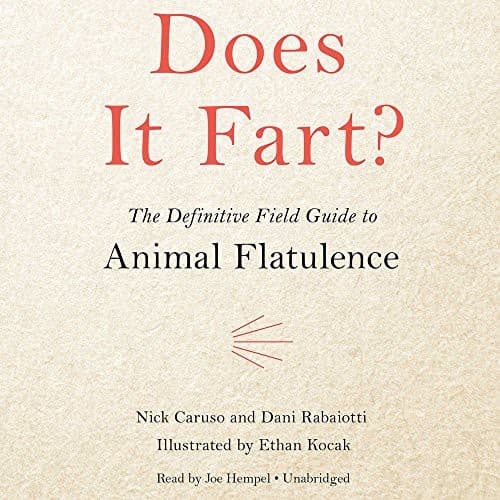 Tapa de Does It Fart?